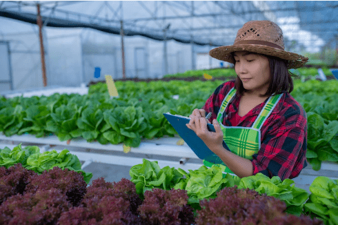 how does hydroponic farming work?