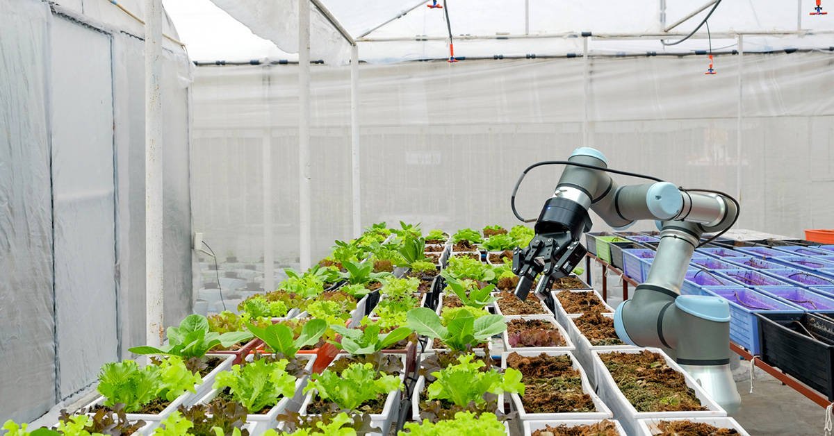 hydroponic farming equipment