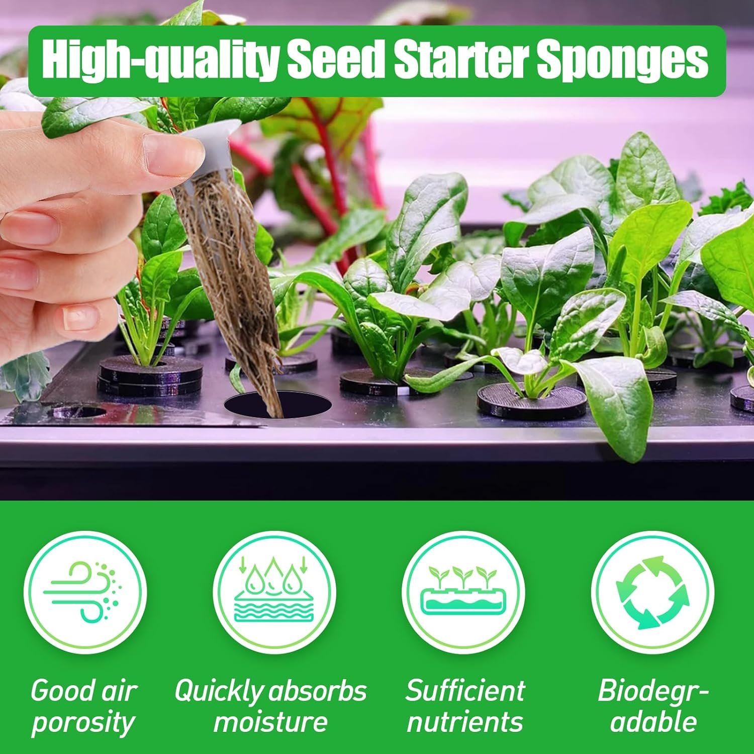 Alphatool 50 Pack Hydroponic Pods Grow Sponges- Plant Seed Starters Sponges Compatible with AeroGarden, Replacements Root Growth Sponges Kit for Indoor Hydroponic Garden Growing System