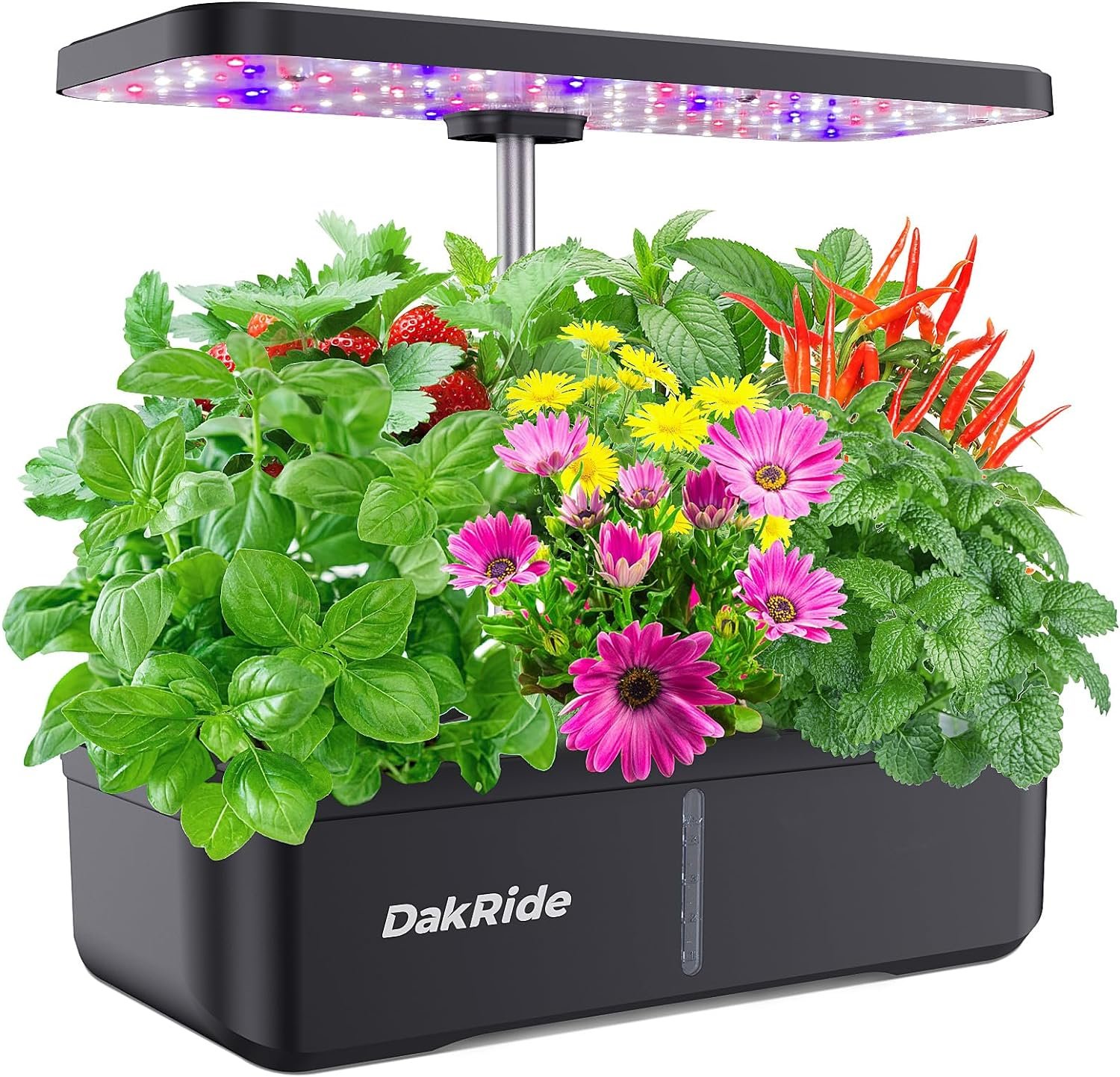 DakRide Hydroponics Growing System 12 Pods, Indoor Garden System with 36W Full Spectrum LED Grow Light, Auto-Timer, Adjustable Height, Silent Pump System, Indoor Herb Garden Kit for Home Office