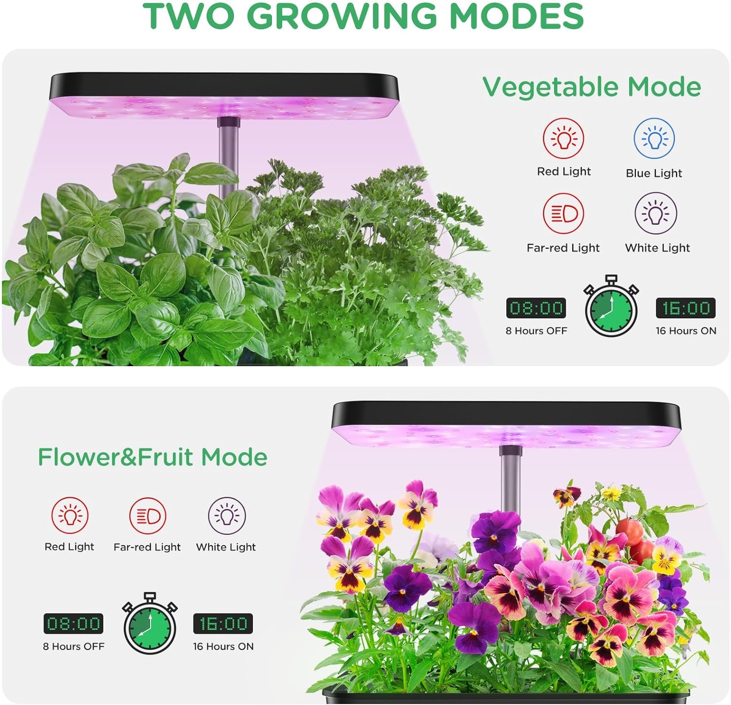 DakRide Hydroponics Growing System 12 Pods, Indoor Garden System with 36W Full Spectrum LED Grow Light, Auto-Timer, Adjustable Height, Silent Pump System, Indoor Herb Garden Kit for Home Office