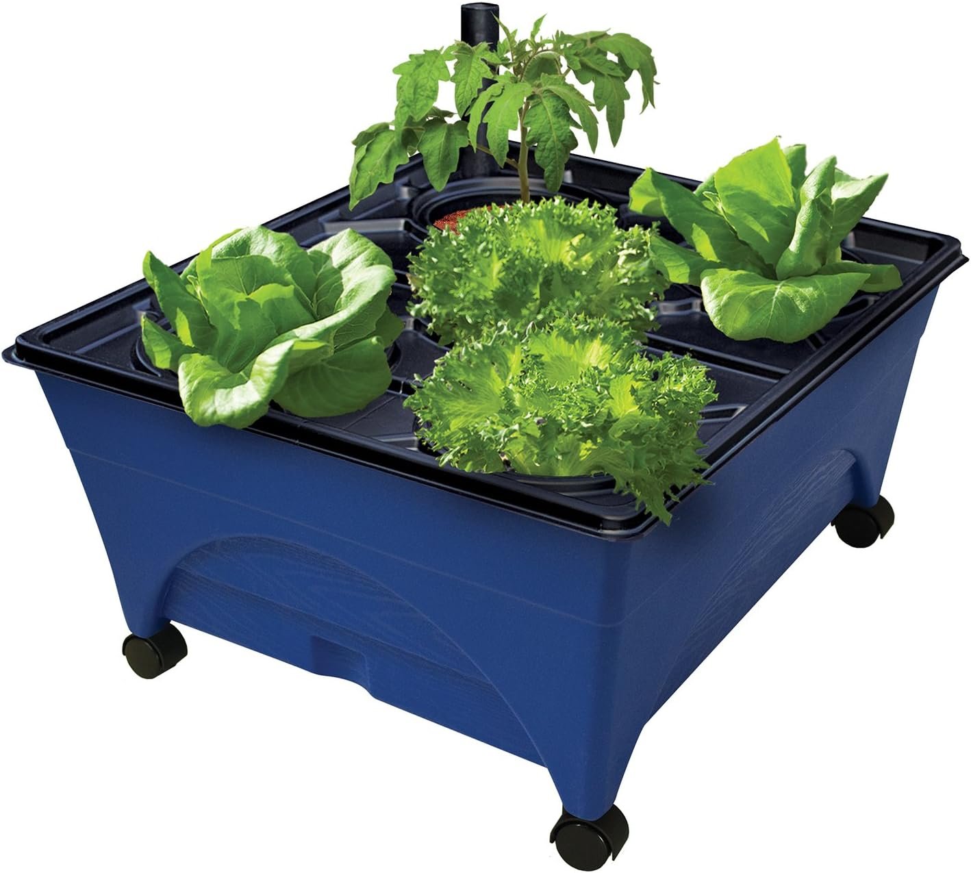 Emsco Group 2370 Hydropickers Compact 24” x 20” Footprint – Mobility Provided by Casters Non-Electric Hydroponics Grow Box, Cobalt Blue