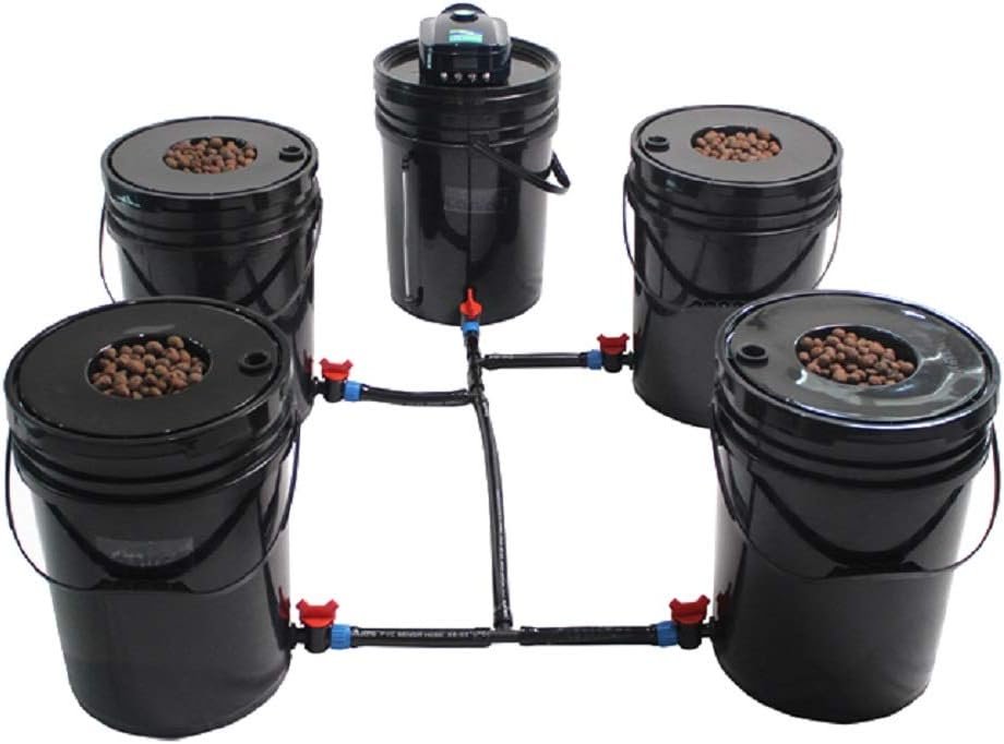 grow1 deep water culture hydroponic system review