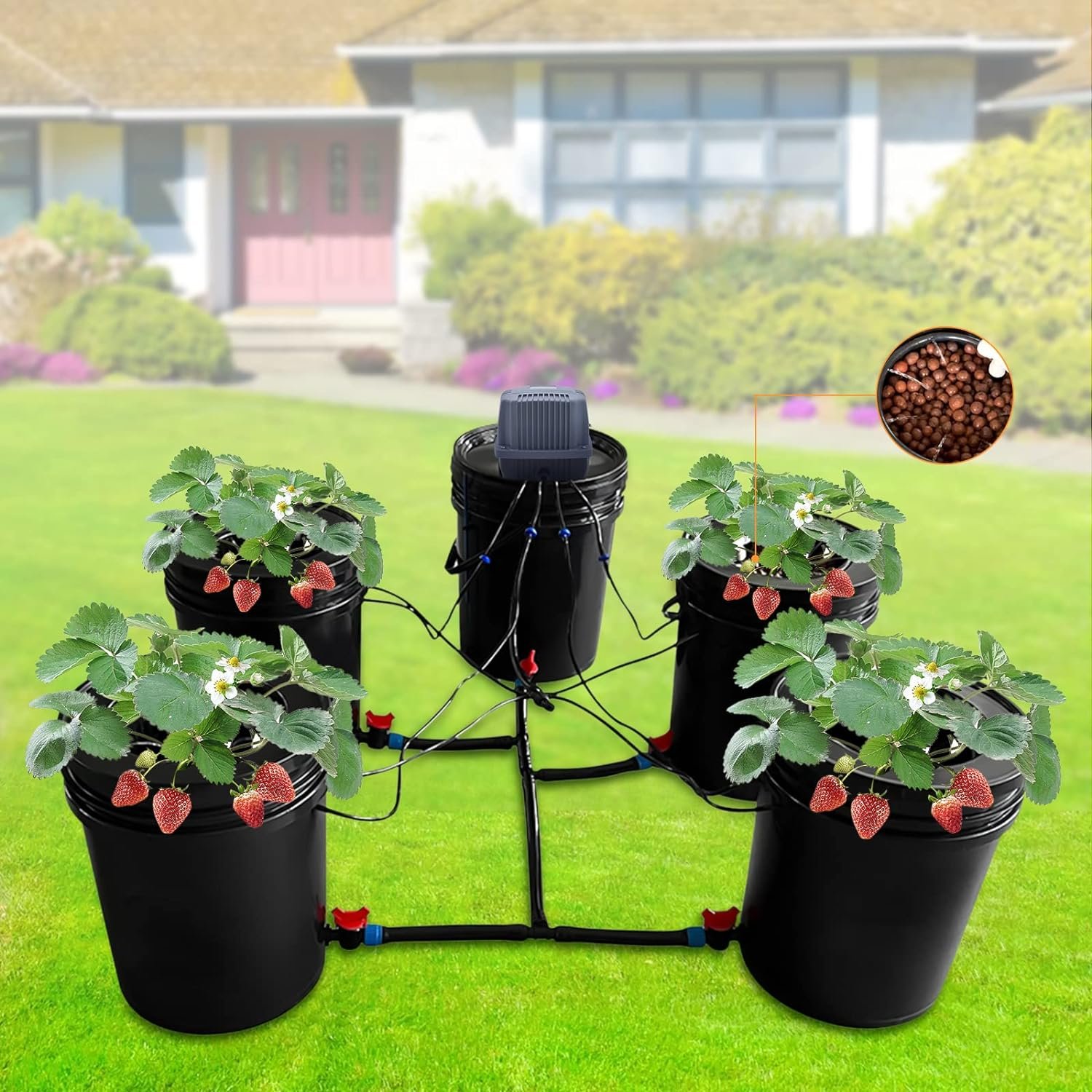 Hydroponics Growing System 5 Gallon 5 Buckets w/Reservoir Kit Deep Water Culture Growing Bucket Plant Multi Barrel Hydroponic Machine Drip Irrigation System for Indoor Outdoor Leafy Vegetables