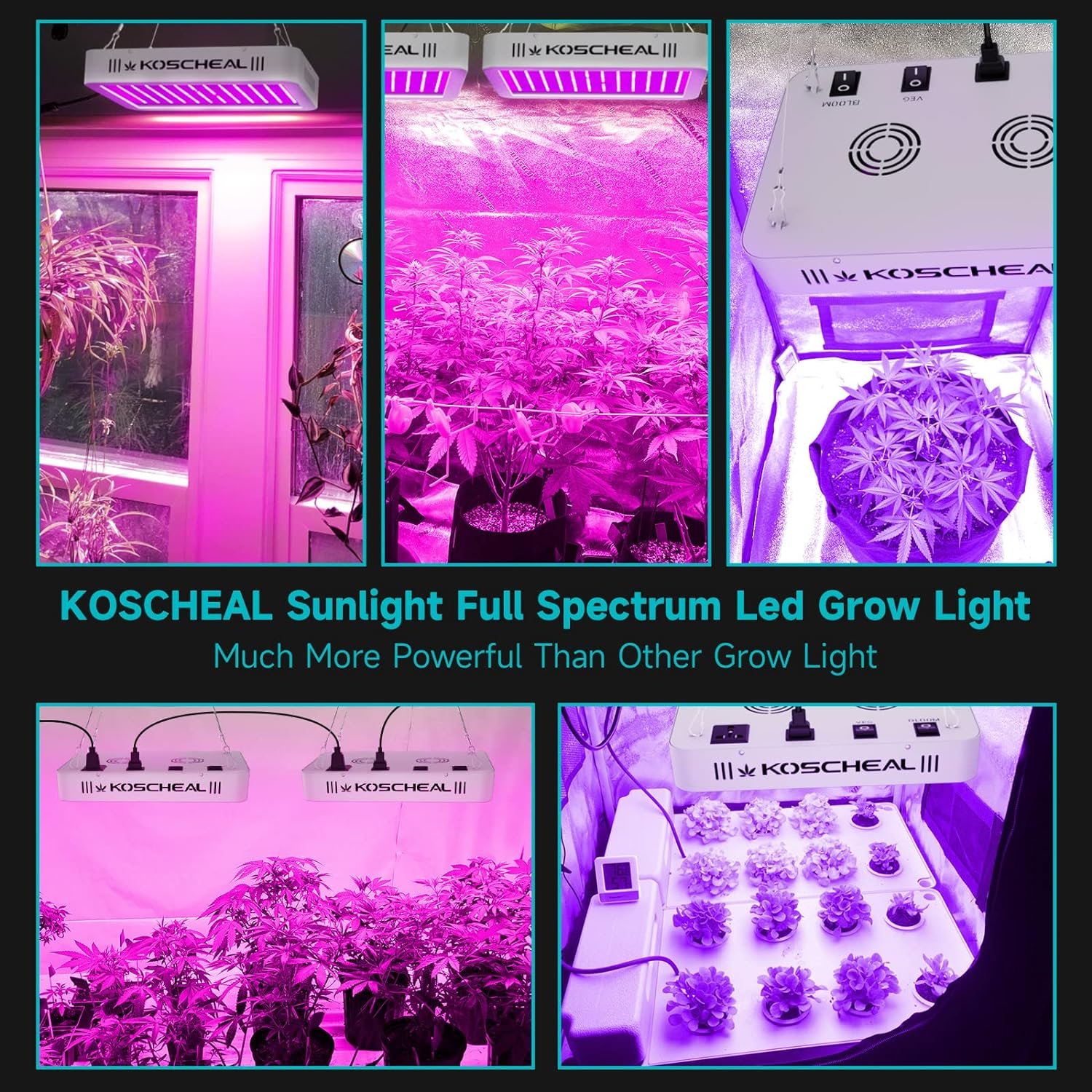 KOSCHEAL LED Grow Light Full Spectrum 1200W, Plant Grow Light with Veg  Bloom Switch for Hydroponic Indoor Plants LED Grow Lamp with Daisy Chain, Output 140W