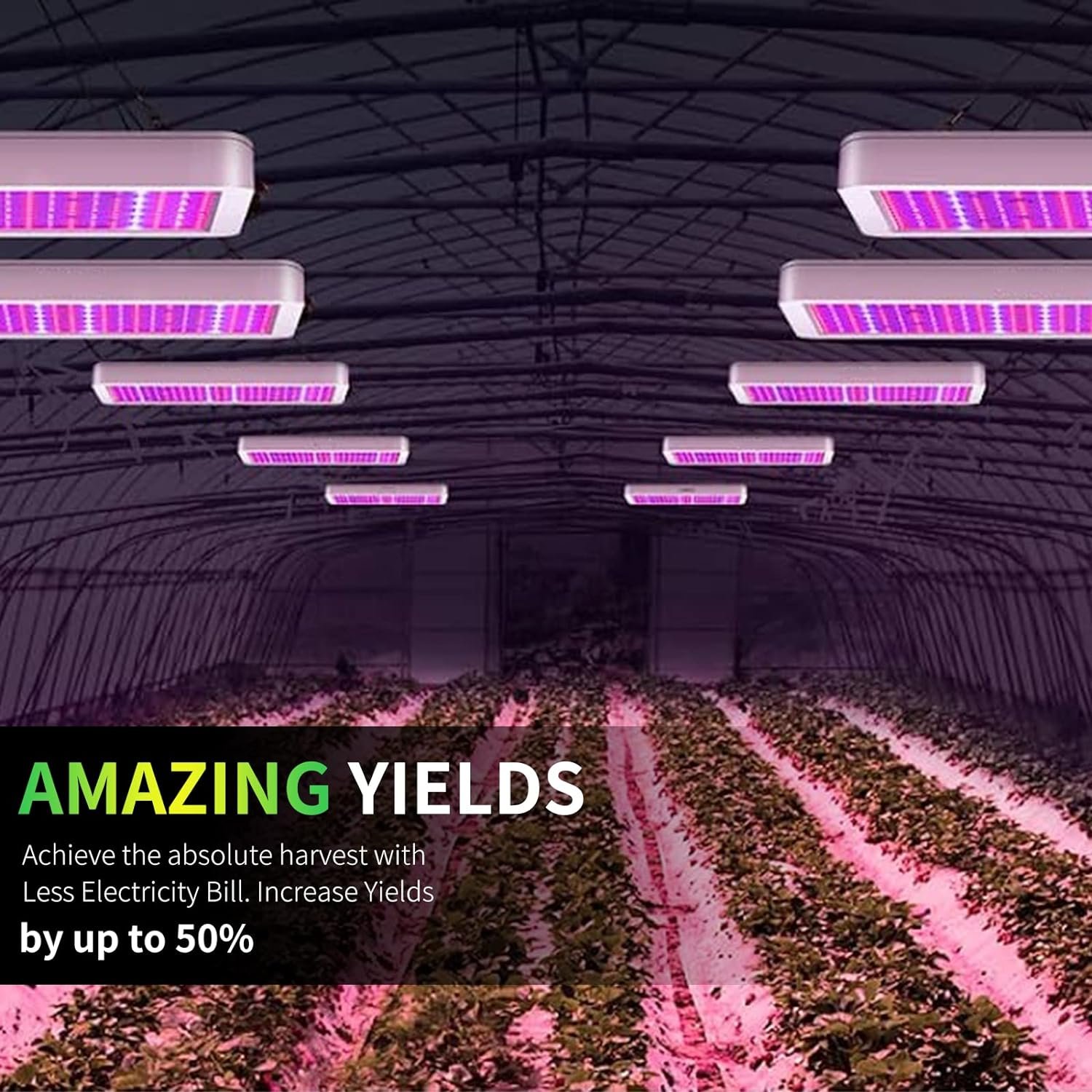 luyimin 1000w led grow lights review