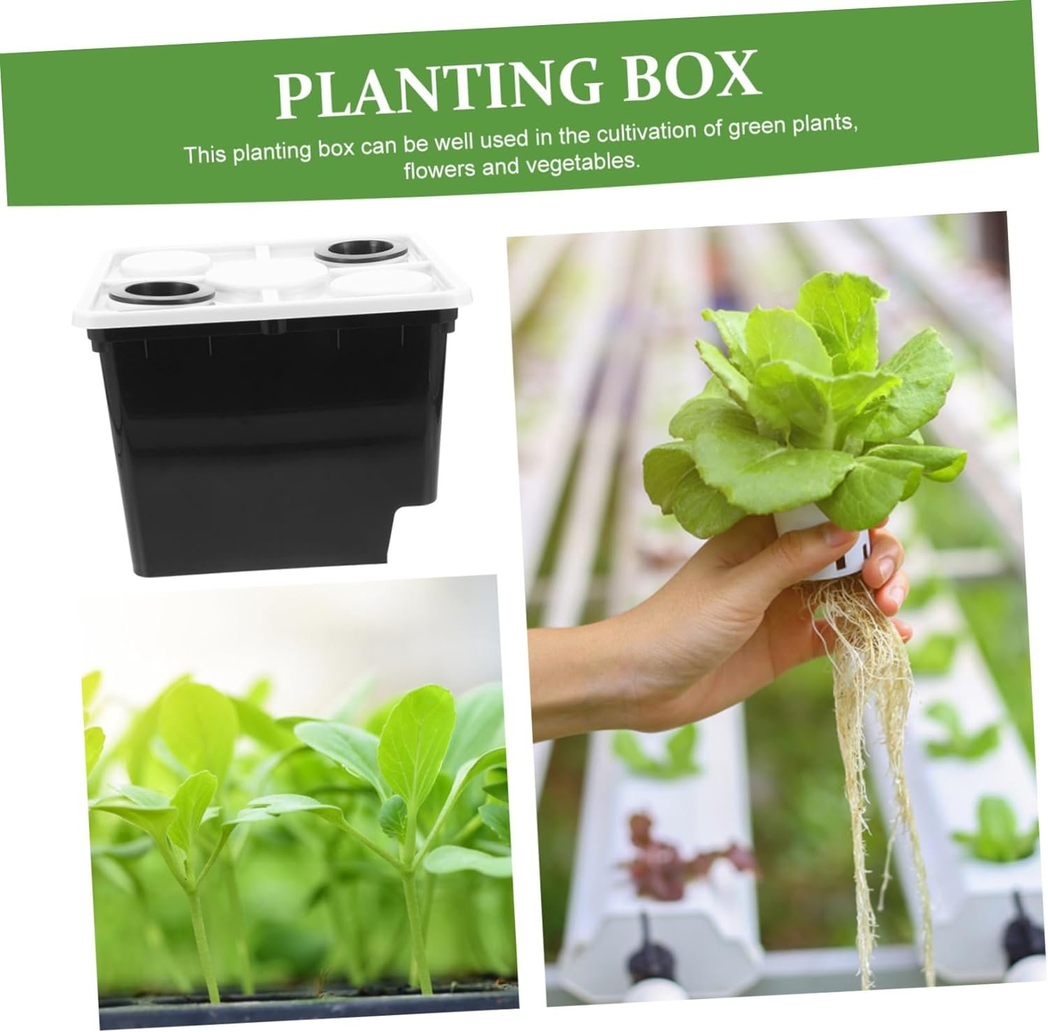 ORFOFE Planting Netherlands Barrel Soilless Cultivation Barrel Soilless Cultivation Cabinet Hydroponics System Bucket Deep Water Culture Hydroponic Kit Kits Plastic Tool Dripping Water