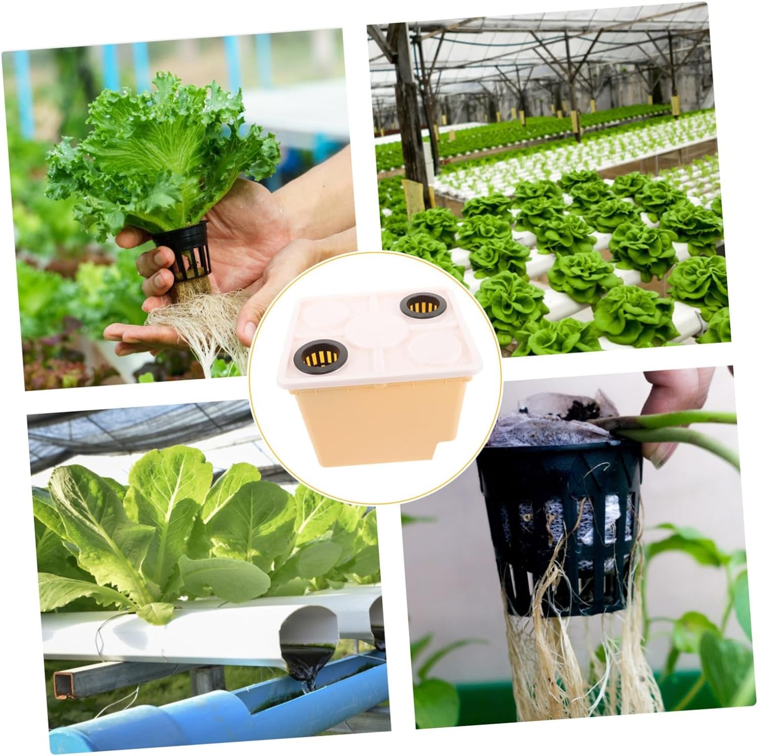 yarnow planting netherlands barrel plastic flower pots cilantro kits soilless hydroponic review