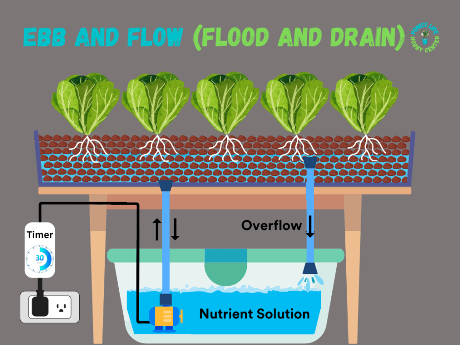 Understanding the Ebb  Flow System