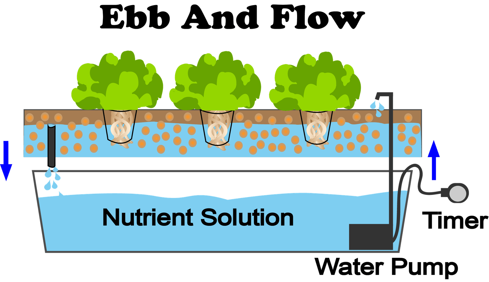 understanding the ebb flow system